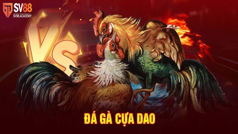 Đá gà cựa dao - Thể loại cá độ đẳng cấp tại nhà cái SV88 14 Thể thao đá gà cựa dao