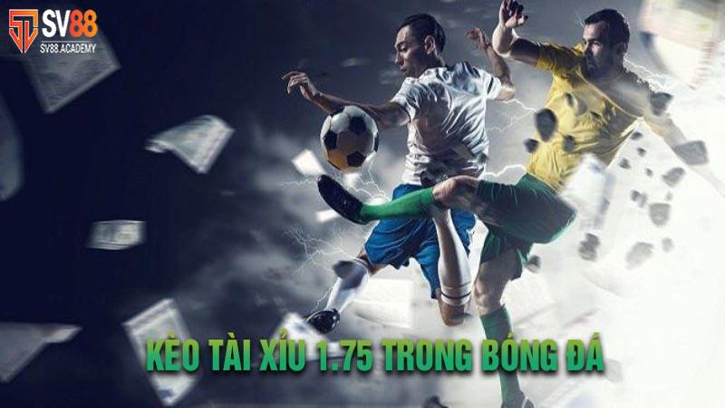 Những kinh nghiệm chơi kèo tài xỉu 1.75 chuẩn xác từ cao thủ 14 chơi kèo tài xỉu 1.75